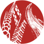 Moto Canada icon-100px.png